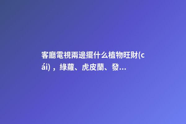 客廳電視兩邊擺什么植物旺財(cái)，綠蘿、虎皮蘭、發(fā)財(cái)樹(shù)